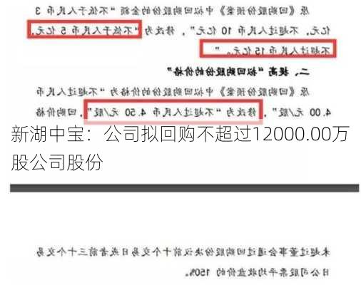 新湖中宝：公司拟回购不超过12000.00万股公司股份