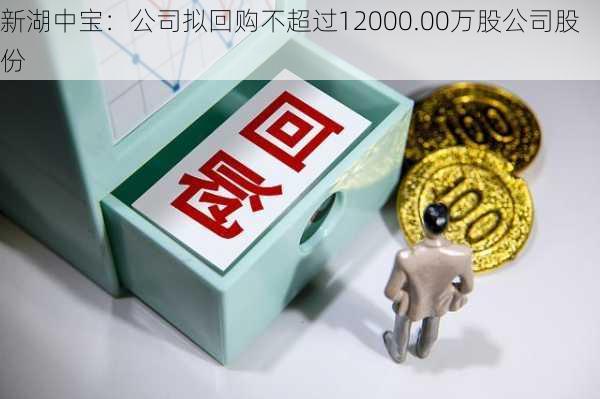 新湖中宝：公司拟回购不超过12000.00万股公司股份