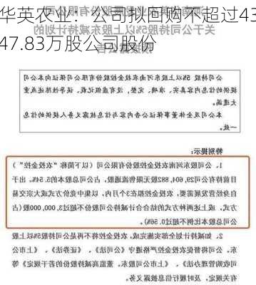 华英农业：公司拟回购不超过4347.83万股公司股份