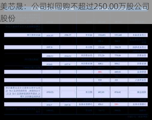 美芯晟：公司拟回购不超过250.00万股公司股份