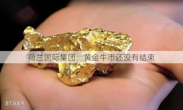 荷兰国际集团：黄金牛市还没有结束