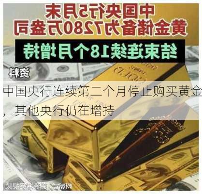 中国央行连续第二个月停止购买黄金，其他央行仍在增持