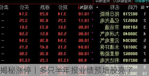 揭秘涨停丨多只半年报业绩预增股亮了