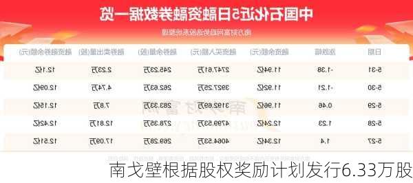 南戈壁根据股权奖励计划发行6.33万股