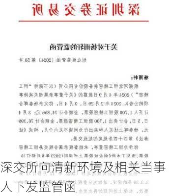 深交所向清新环境及相关当事人下发监管函