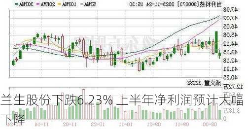 兰生股份下跌6.23% 上半年净利润预计大幅下降