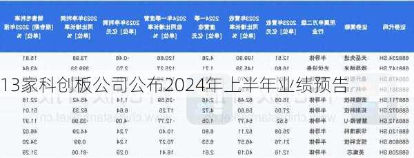 13家科创板公司公布2024年上半年业绩预告