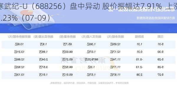 寒武纪-U（688256）盘中异动 股价振幅达7.91%  上涨7.23%（07-09）