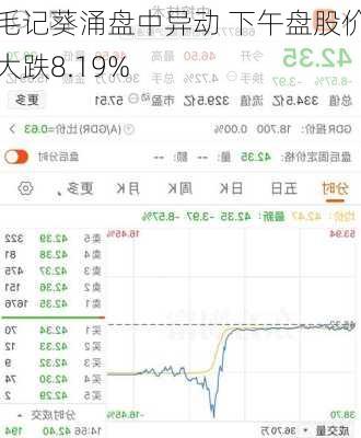 毛记葵涌盘中异动 下午盘股价大跌8.19%