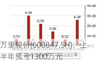 万里股份(600847.SH)：上半年预亏1300万元