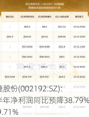 融捷股份(002192.SZ)：上半年净利润同比预降38.79%―49.71%