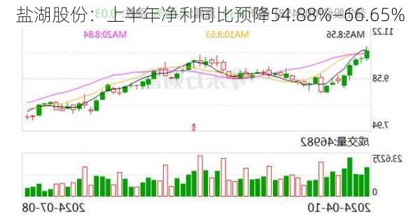 盐湖股份：上半年净利同比预降54.88%—66.65%