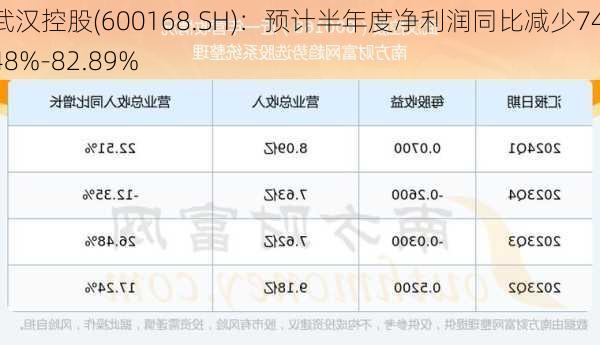 武汉控股(600168.SH)：预计半年度净利润同比减少74.48%-82.89%