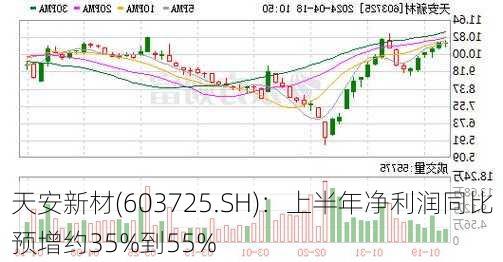 天安新材(603725.SH)：上半年净利润同比预增约35%到55%