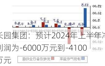 长园集团：预计2024年上半年净利润为-6000万元到-4100万元