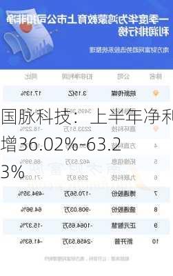 国脉科技：上半年净利润预增36.02%-63.23%