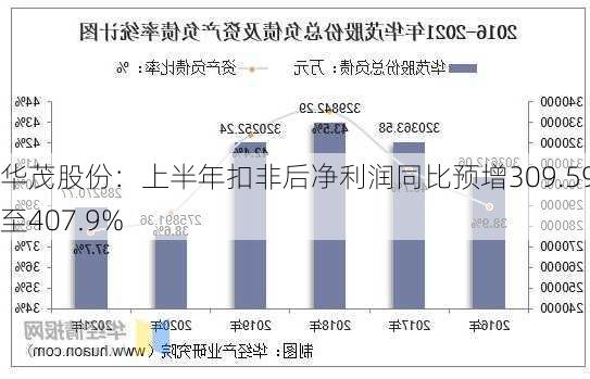 华茂股份：上半年扣非后净利润同比预增309.59%至407.9%