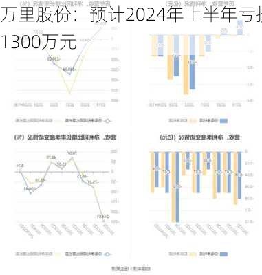 万里股份：预计2024年上半年亏损1300万元