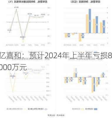 亿嘉和：预计2024年上半年亏损8000万元