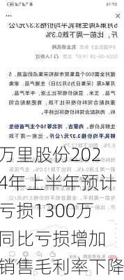 万里股份2024年上半年预计亏损1300万同比亏损增加 销售毛利率下降