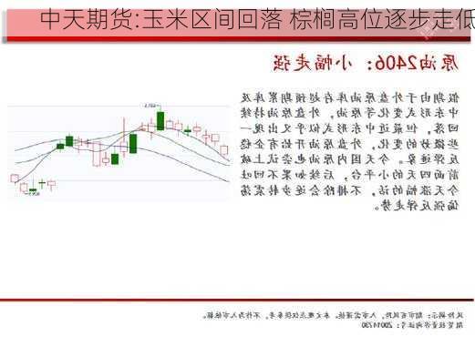 中天期货:玉米区间回落 棕榈高位逐步走低