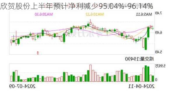 欣贺股份上半年预计净利减少95.04%-96.14%