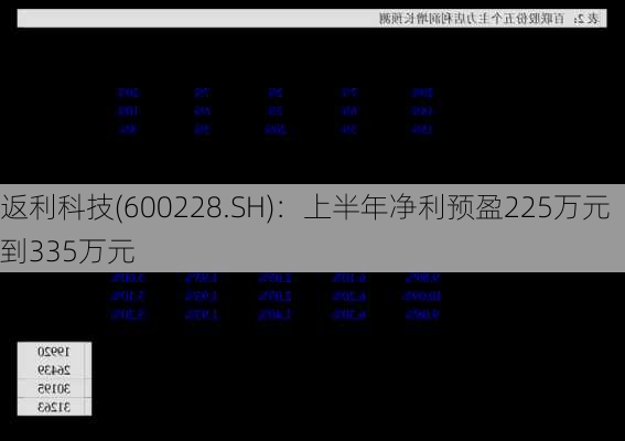 返利科技(600228.SH)：上半年净利预盈225万元到335万元