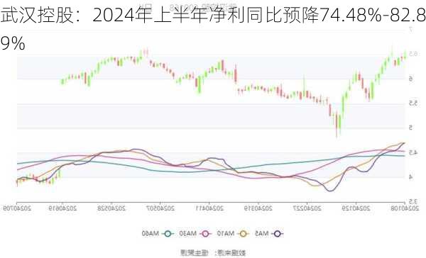 武汉控股：2024年上半年净利同比预降74.48%-82.89%