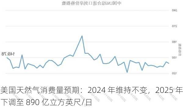 美国天然气消费量预期：2024 年维持不变，2025 年下调至 890 亿立方英尺/日