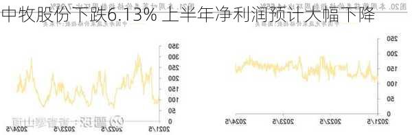 中牧股份下跌6.13% 上半年净利润预计大幅下降