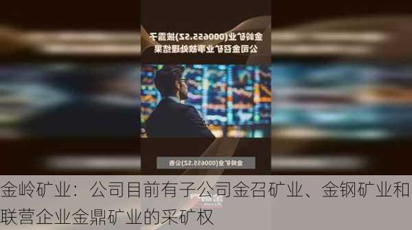 金岭矿业：公司目前有子公司金召矿业、金钢矿业和联营企业金鼎矿业的采矿权