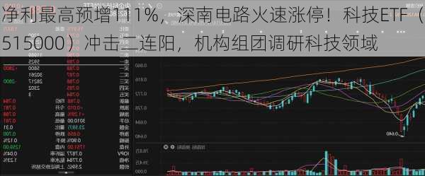 净利最高预增111%，深南电路火速涨停！科技ETF（515000）冲击二连阳，机构组团调研科技领域