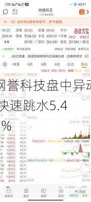 网誉科技盘中异动 快速跳水5.47%