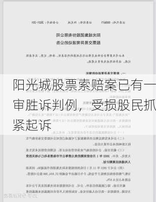 阳光城股票索赔案已有一审胜诉判例，受损股民抓紧起诉