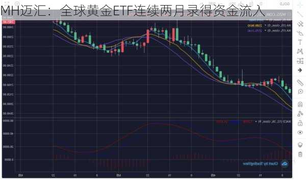 MH迈汇：全球黄金ETF连续两月录得资金流入