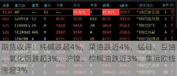 期货收评：纯碱跌超4%，菜油跌近4%，锰硅、豆油、氧化铝跌超3%，沪镍、棕榈油跌近3%，集运欧线涨超3%