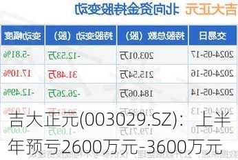 吉大正元(003029.SZ)：上半年预亏2600万元-3600万元