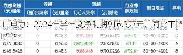 乐山电力：2024年半年度净利润916.3万元，同比下降31.5%