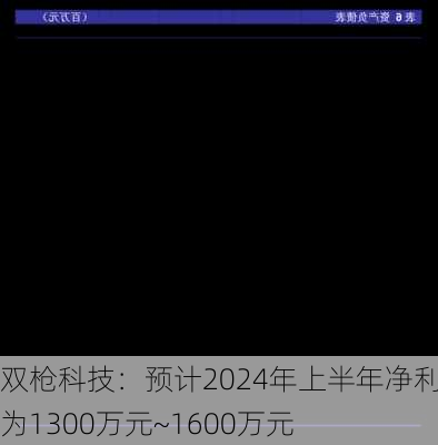 双枪科技：预计2024年上半年净利润为1300万元~1600万元