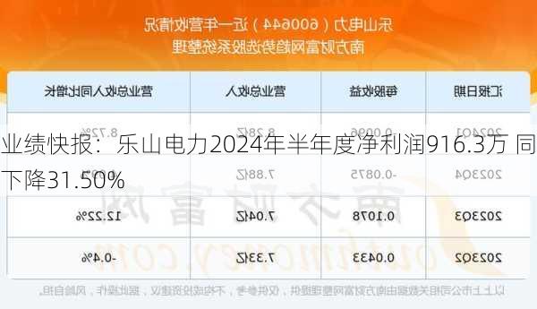 业绩快报：乐山电力2024年半年度净利润916.3万 同比下降31.50%