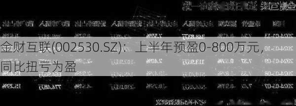 金财互联(002530.SZ)：上半年预盈0-800万元，同比扭亏为盈