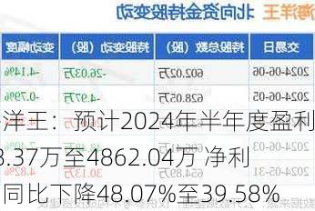 海洋王：预计2024年半年度盈利4178.37万至4862.04万 净利润同比下降48.07%至39.58%