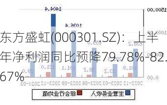 东方盛虹(000301.SZ)：上半年净利润同比预降79.78%-82.67%