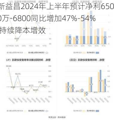 新益昌2024年上半年预计净利6500万-6800同比增加47%-54% 持续降本增效