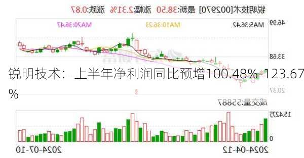 锐明技术：上半年净利润同比预增100.48%-123.67%