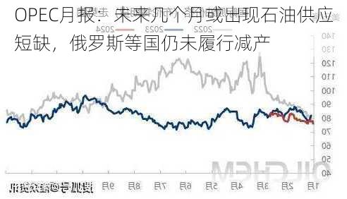 OPEC月报：未来几个月或出现石油供应短缺，俄罗斯等国仍未履行减产