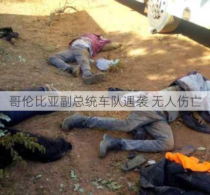 哥伦比亚副总统车队遇袭 无人伤亡