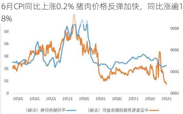 6月CPI同比上涨0.2% 猪肉价格反弹加快，同比涨逾18%