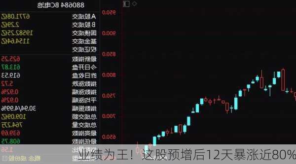 业绩为王！这股预增后12天暴涨近80%