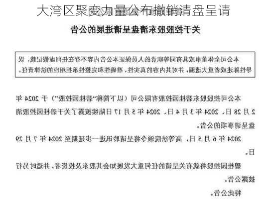 大湾区聚变力量公布撤销清盘呈请